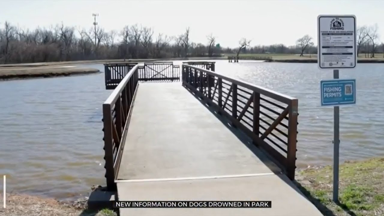 OKC Animal Welfare, Police Investigating Dog Drownings In NE OKC Park