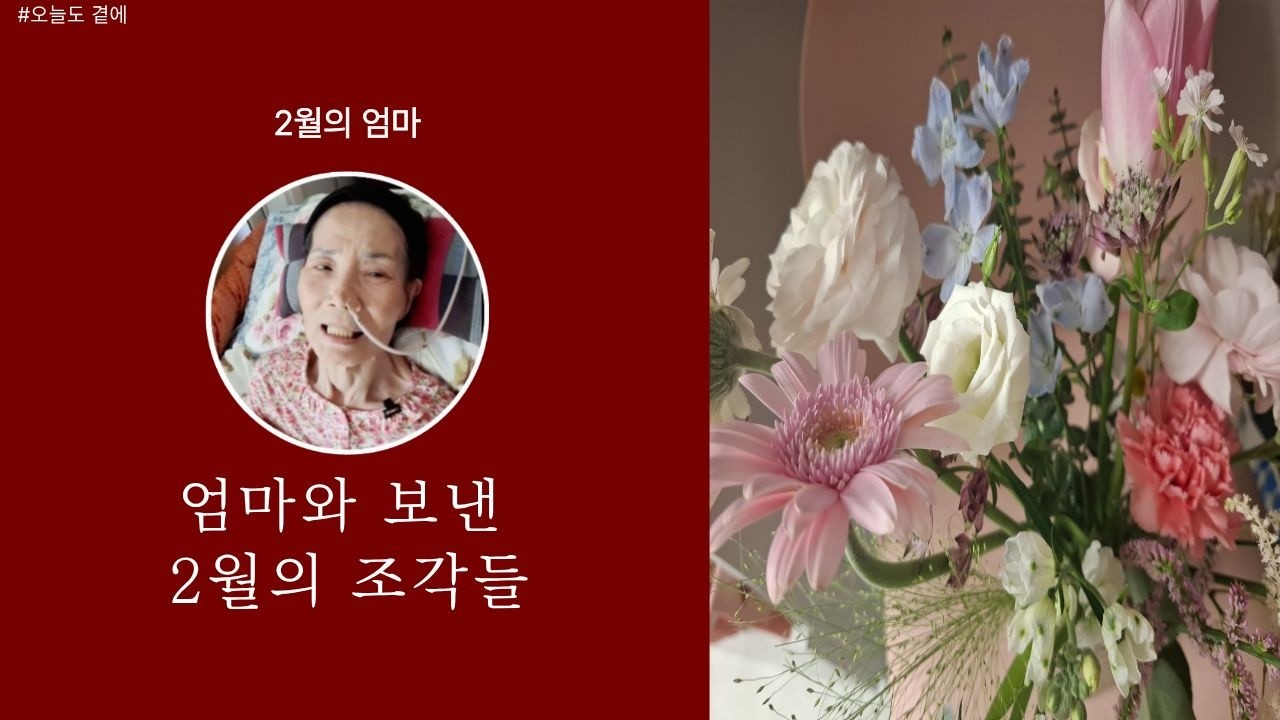 2월의 조각들 [엄마와의 기록]
