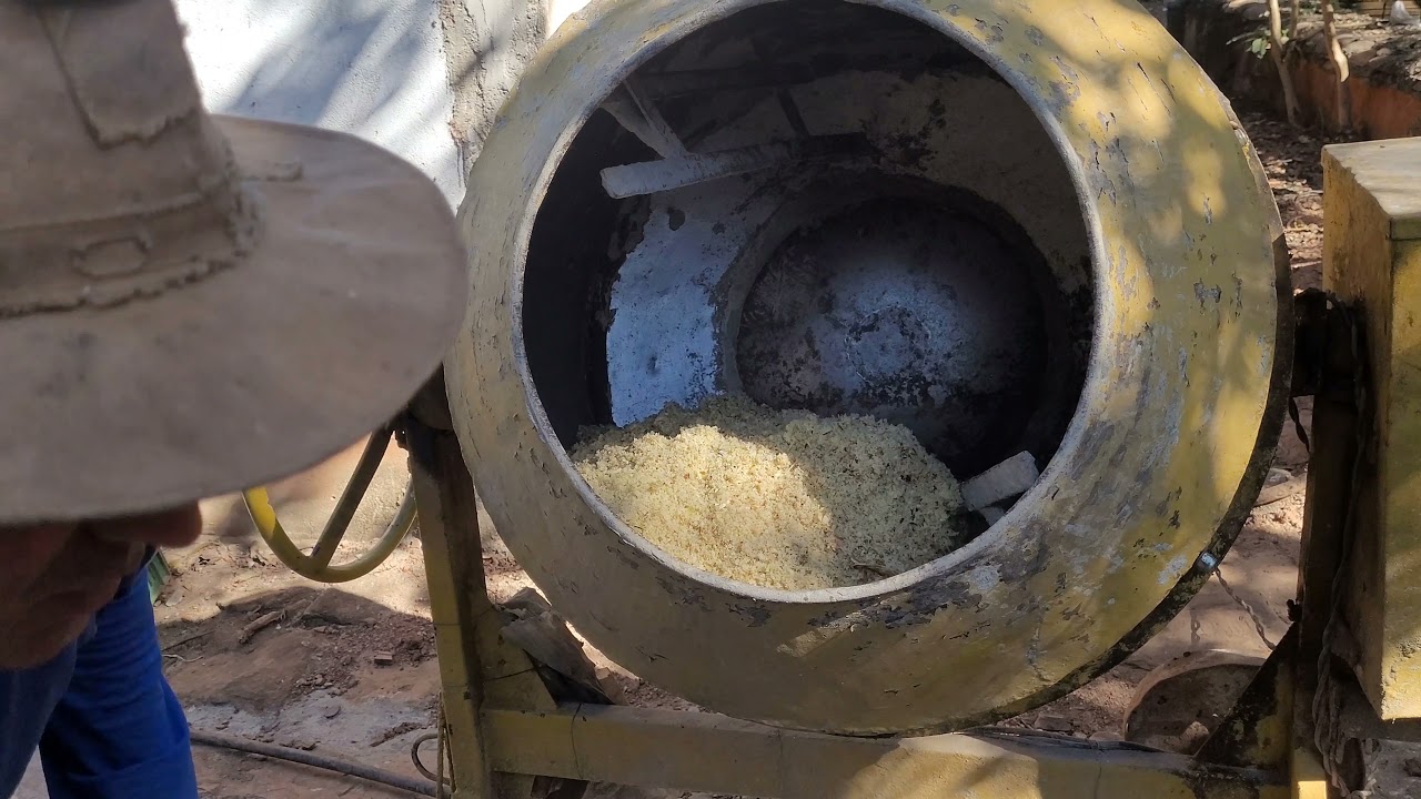 ALIMENTAÇÃO COMPLEMENTAR DE CANA PARA OS PORQUINHOS.
