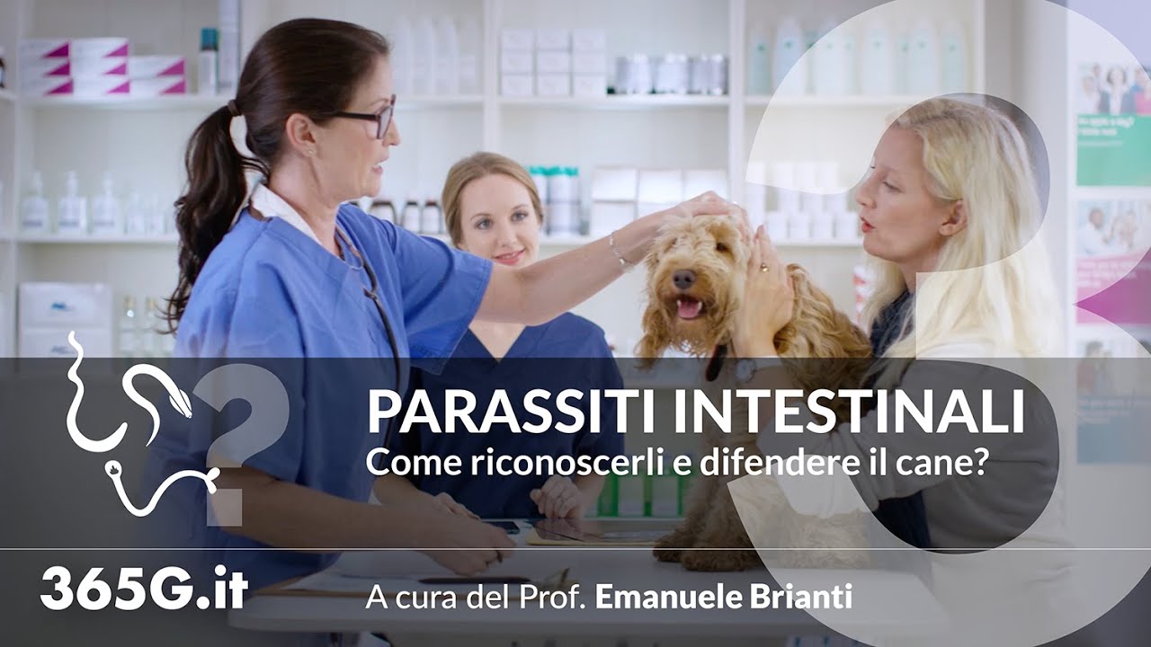 Parassiti Intestinali #3 | Come riconoscerli e difendere il cane?