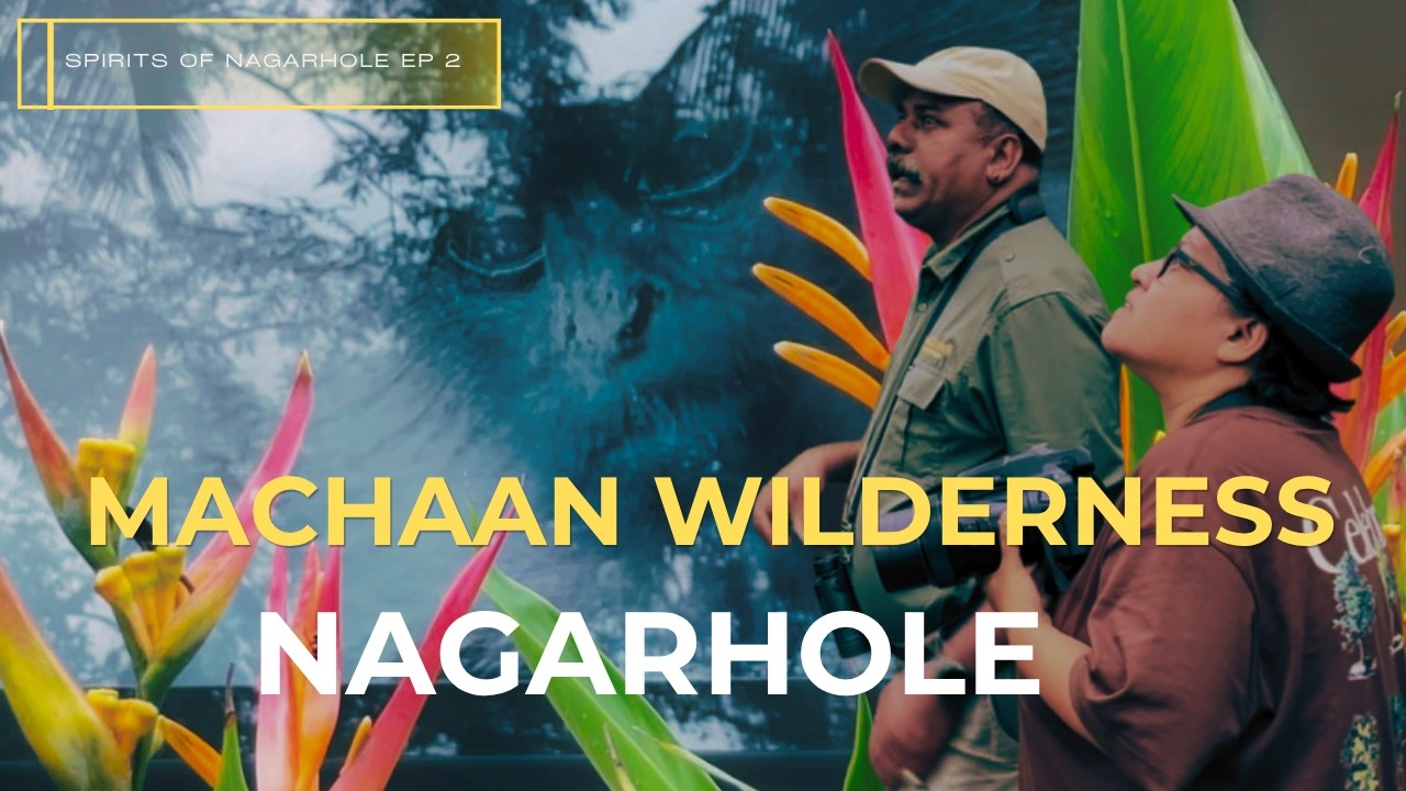 Machaan Wilderness: The Balcony from where one can see both Tiger and Milkyway at Nagarhole