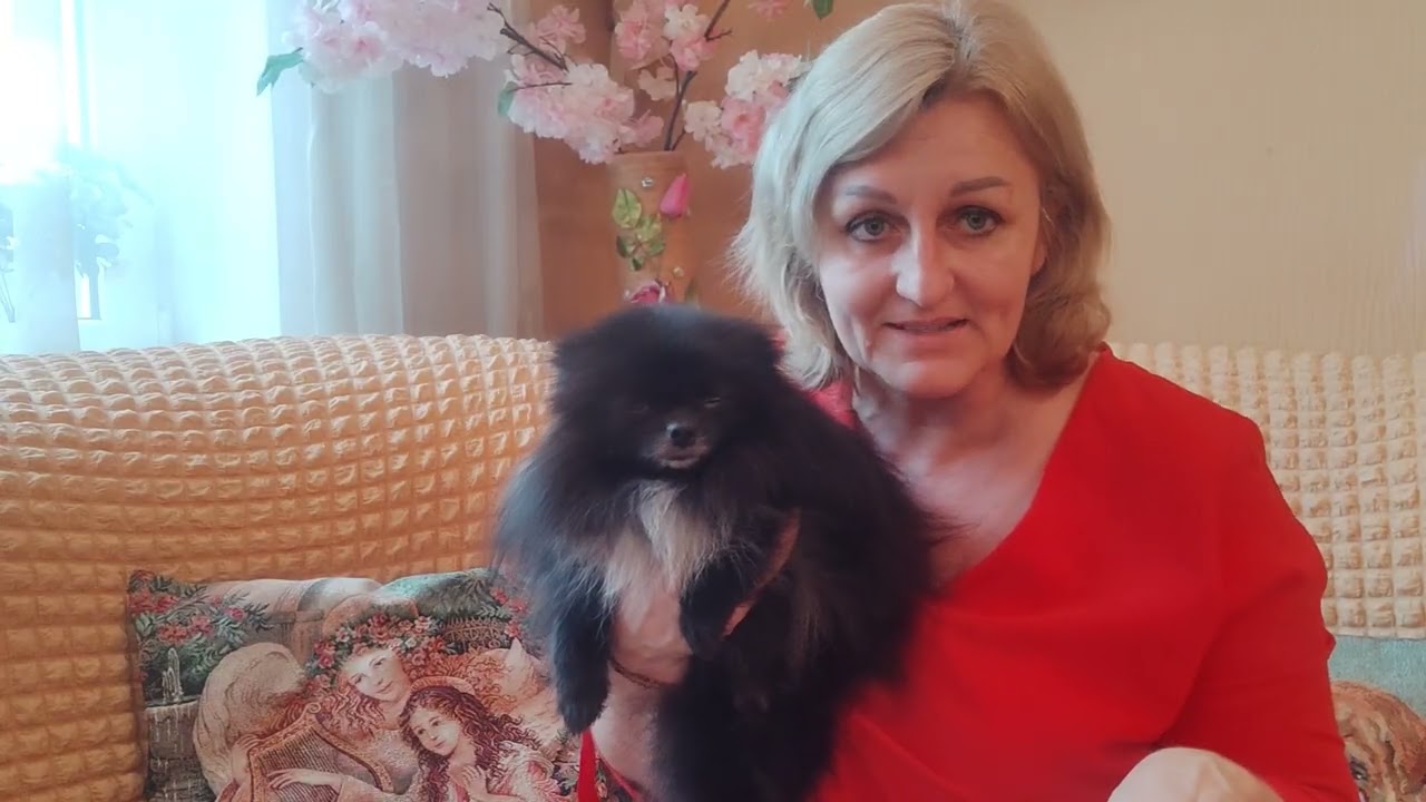 Поговорим немного 😃🤗🐾 Продажа щеночков доставка по миру+79788972514