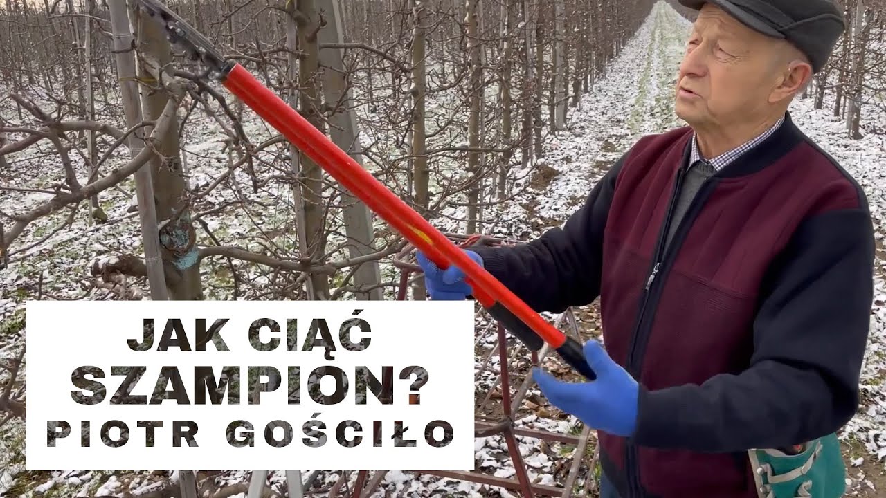56# Jak ciąć Szampion? odc. 1 - Komunikat Sadowniczy Piotr Gościło