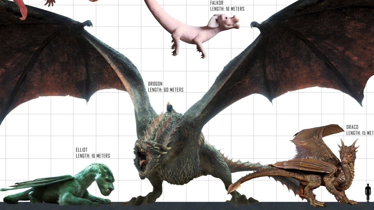 TOP 10 Largest DRAGONS