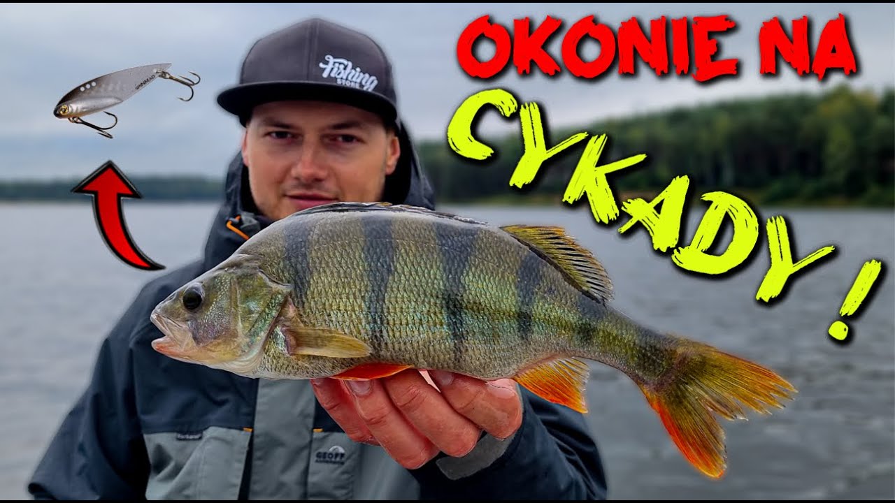 jesienne OKONIE na CYKADY i GUMY