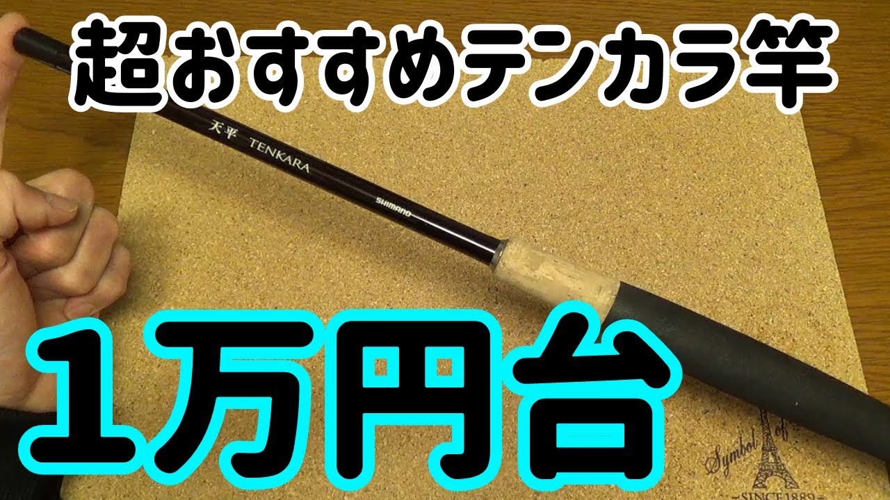 【テンカラ釣り】安くて高性能な竿です！