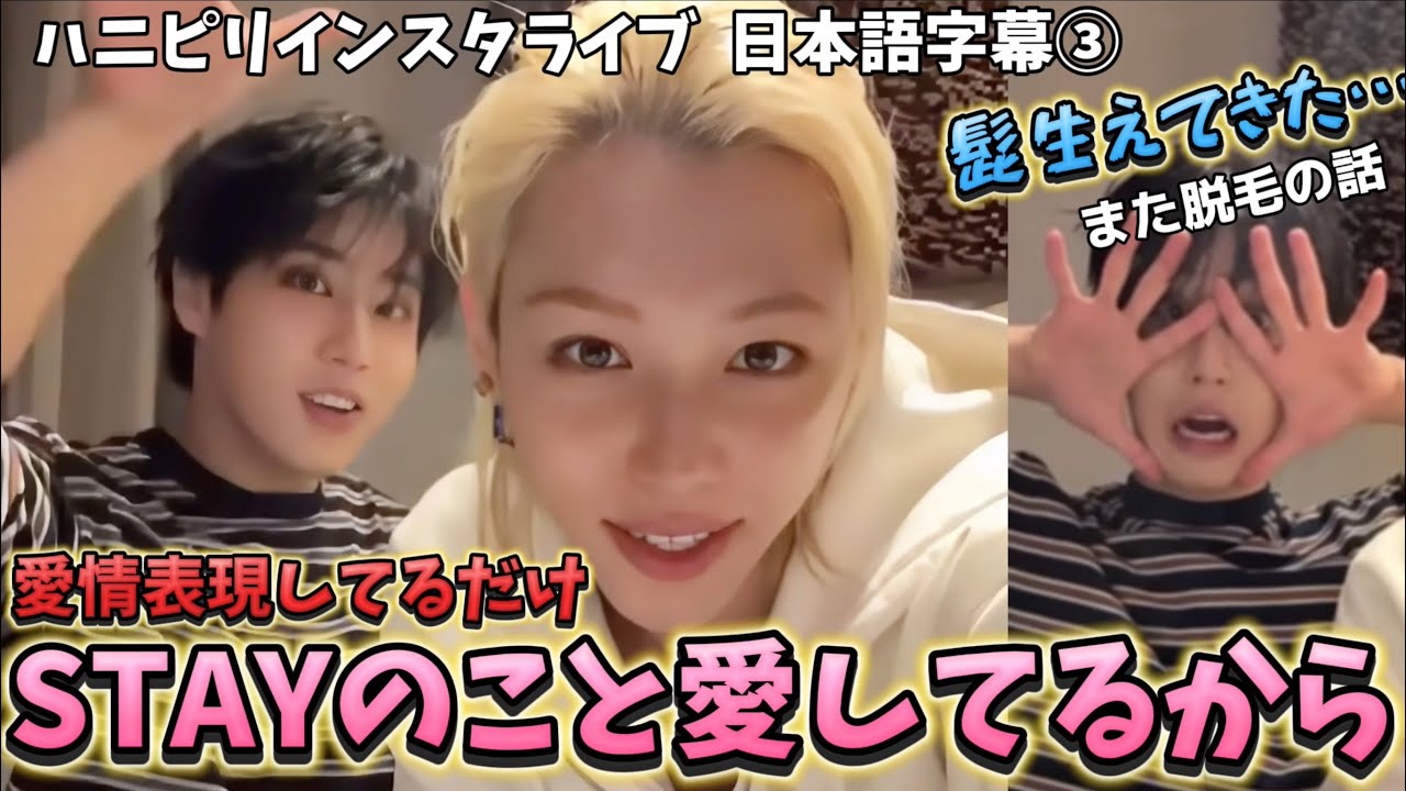【StrayKidsハニピリ】STAYのこと愛してるから　ハニピリインスタライブ日本語字幕③ 25.04.13