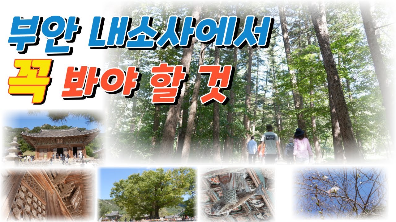 부안 내소사에서 꼭 봐야 할 것들 /전나무 숲 힐링 산책길 사찰 여행/