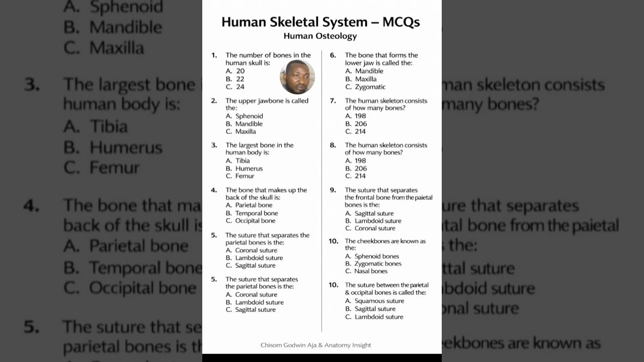 Osteology quiz