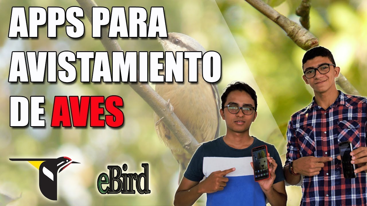 Ebird y Merlin: Apps para el reconocimiento de aves.