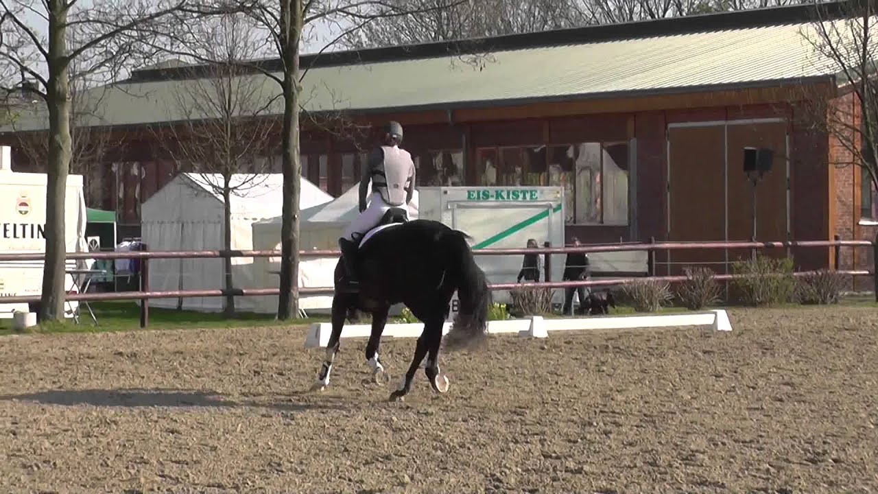 Eignungsprüfung mit Gelände - Meerbusch - Vom Feinsten