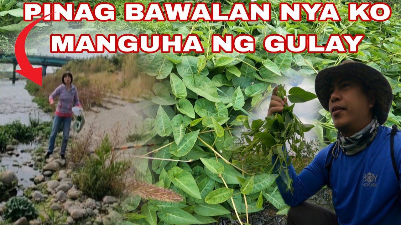 Babaeng taiwanese pinag bawalan ako Kunin ang mga ligaw na gulay sa ilog
