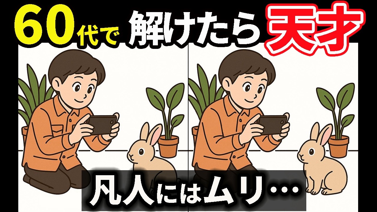【間違い探し】脳トレを楽しむ動画！集中力向上や認知症予防におすすめ！ ＃183