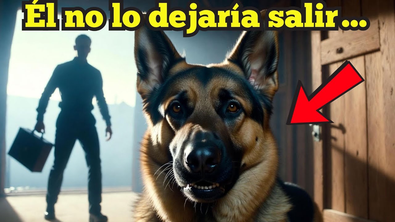 El perro que no dejó salir a su dueño de casa… minutos después ocurrió una tragedia historia