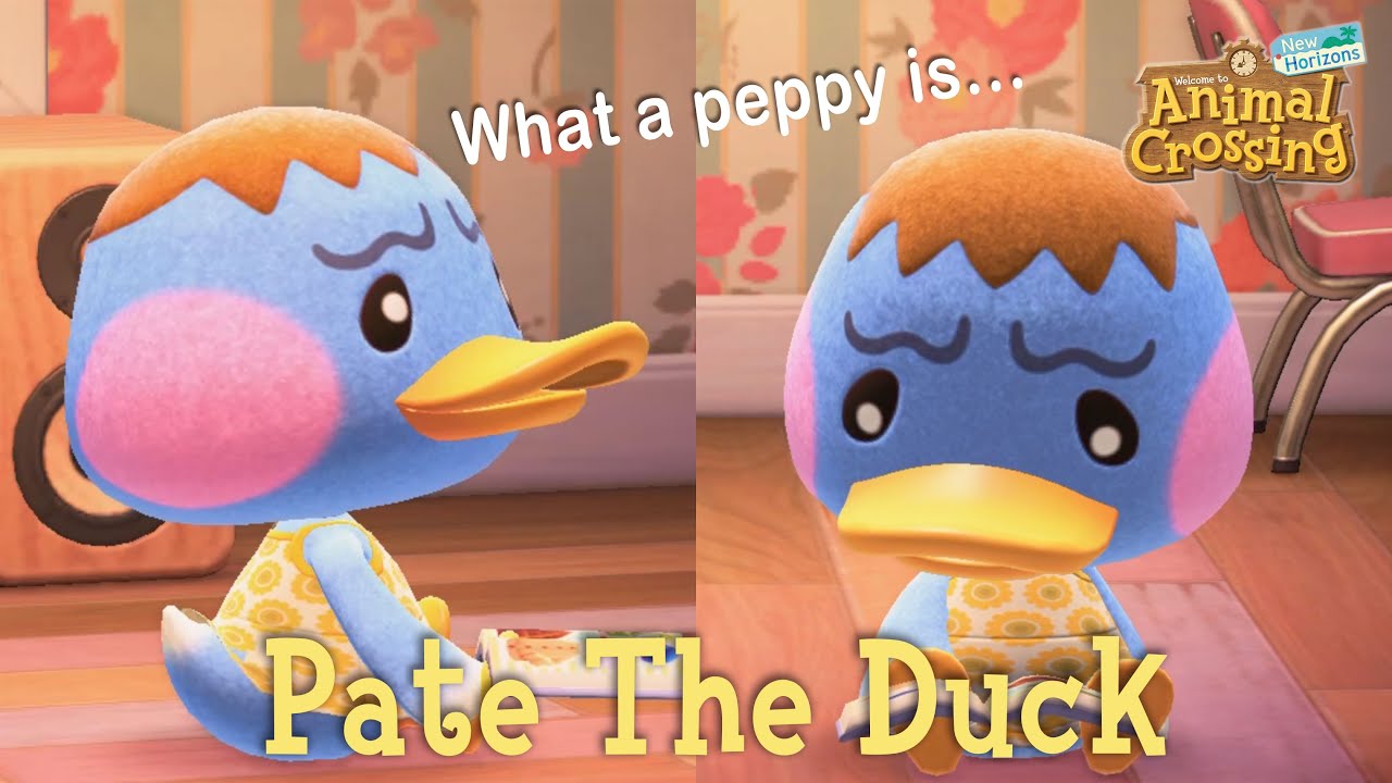 Pate The Duck Peppy Villager Animal Crossing New Horizons ACNH