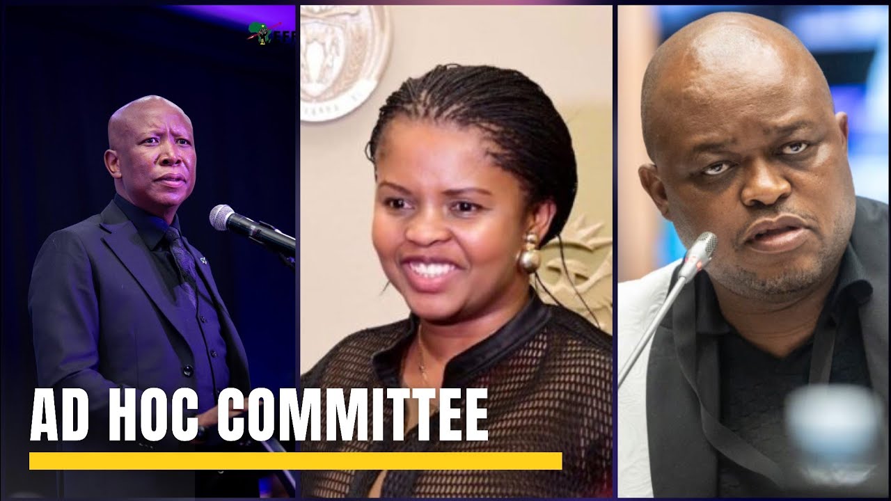ANC MP Khusela Diko | EFF President Julius Malema Question Brown Mogotsi at the Ad Hoc committee 
