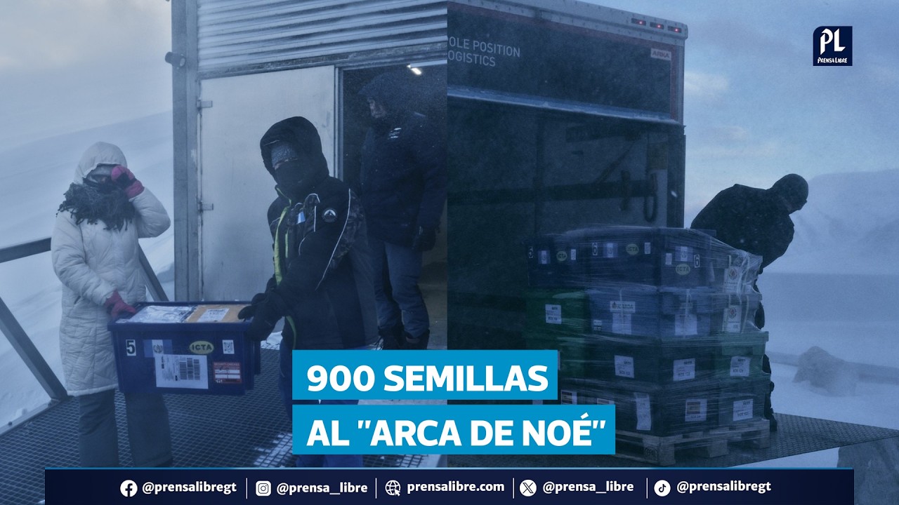 Guatemala envía más de 900 semillas al “Arca de Noé” global en Noruega