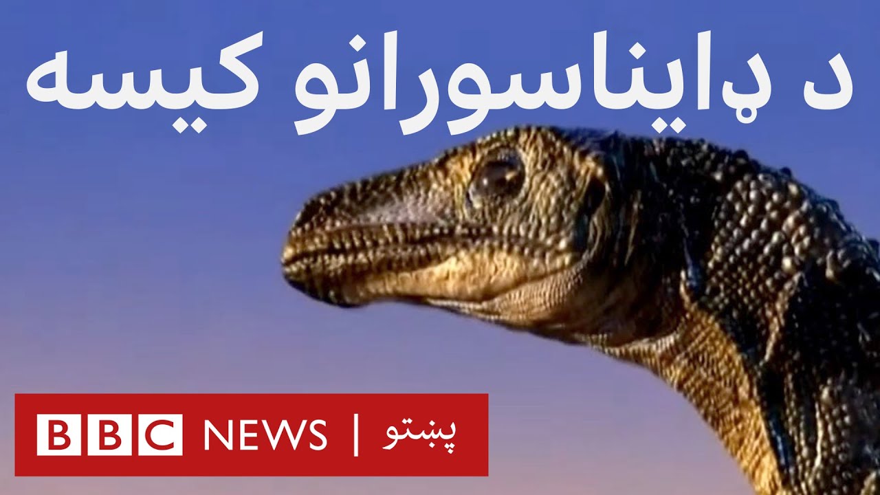 د ډايناسورانو کيسه - که اسماني ډبره پر مځکه نه وی رالوېدلې، ژوندي به پاتې شوې وی؟