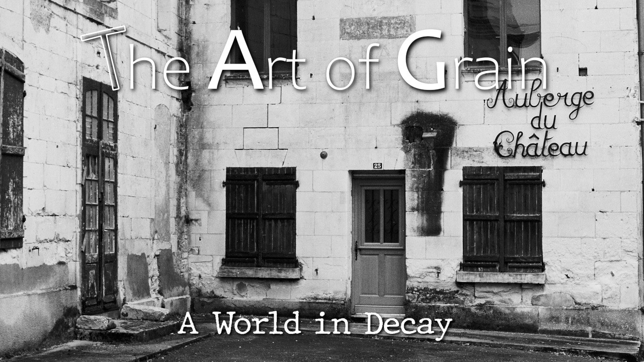 A World in Decay #3 - On Kodak T-Max 100 film
