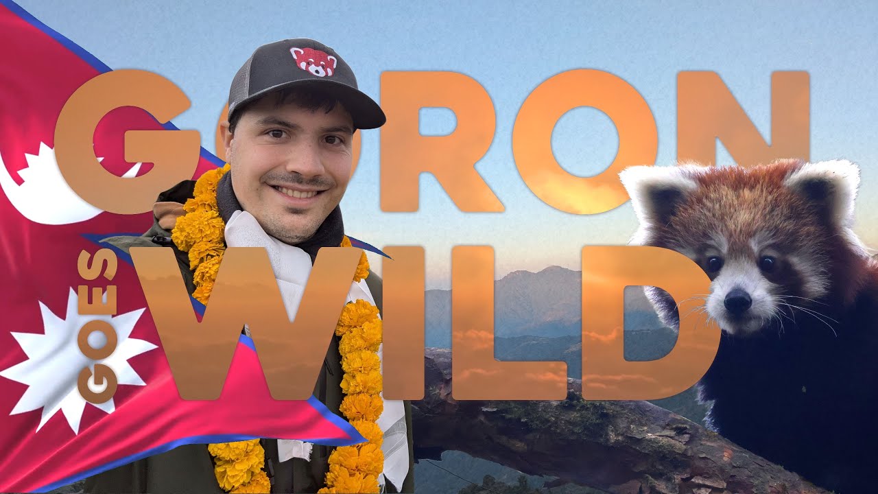 Goron Goes Wild: Nepal | Red Panda Conservation! (Part 3)
