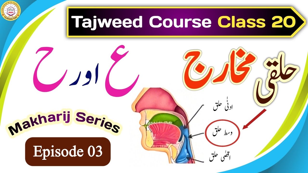 Aaiyn & Haa | Makharij ka byan | Tajweed Class 20 | Halqi Makharij | Learn Tajweed Easy