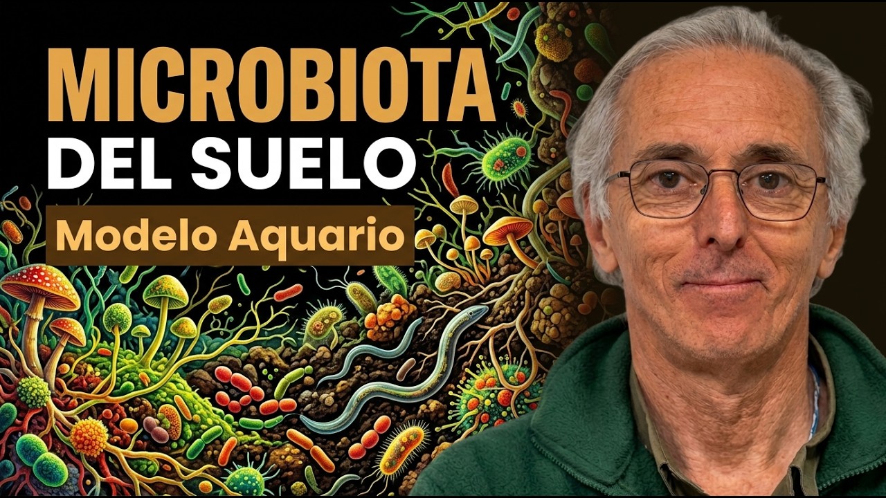 Cómo Manejar los Microorganismos del Suelo en Nuestra Finca
