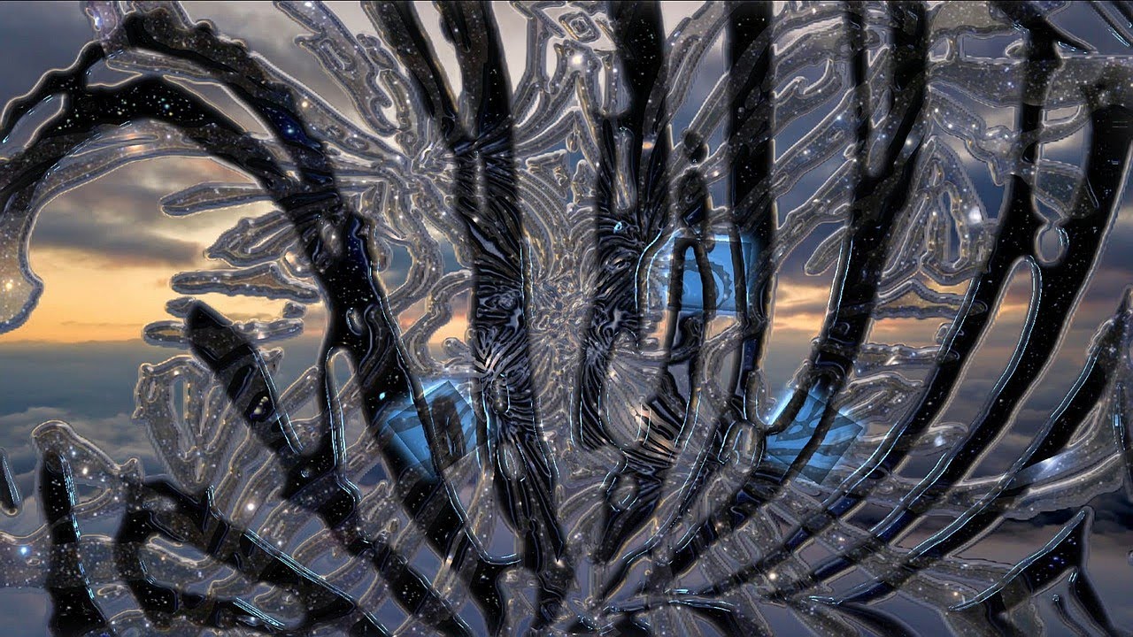 Margot Reisinger & James Nyoraku Schlefer - Infinite Compassion [Visualization]