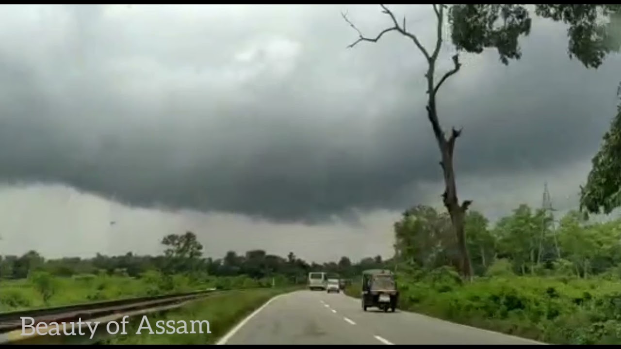 Beauty of Assam #shorts