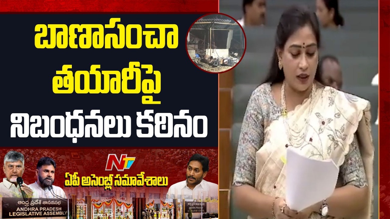 Home Minister Anitha: బాణాసంచా అక్రమ నిల్వ, విక్రయాలపై కఠిన చర్యలు | AP Assembly | NTV Telugu