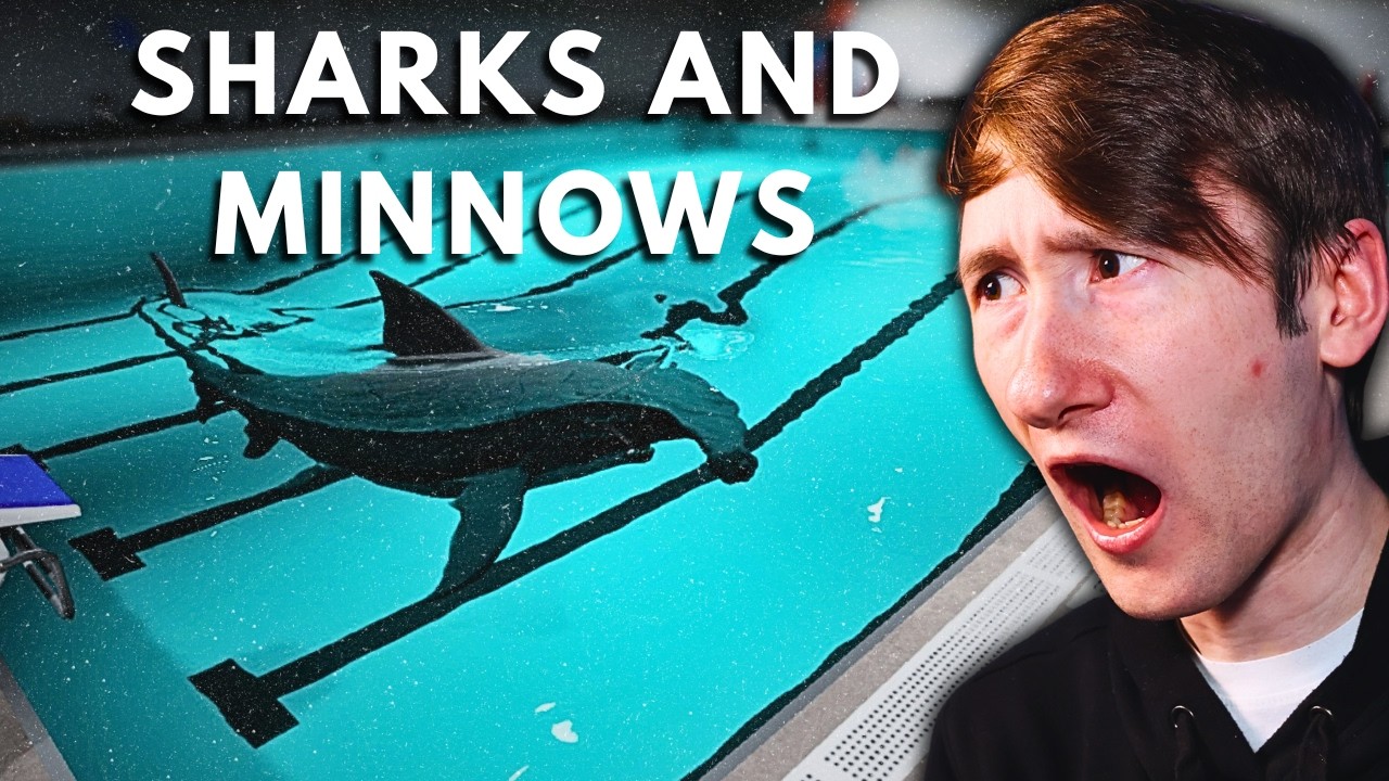 Facing My Fear Of The Ocean... | Sharks and Minnows - Indie Horror