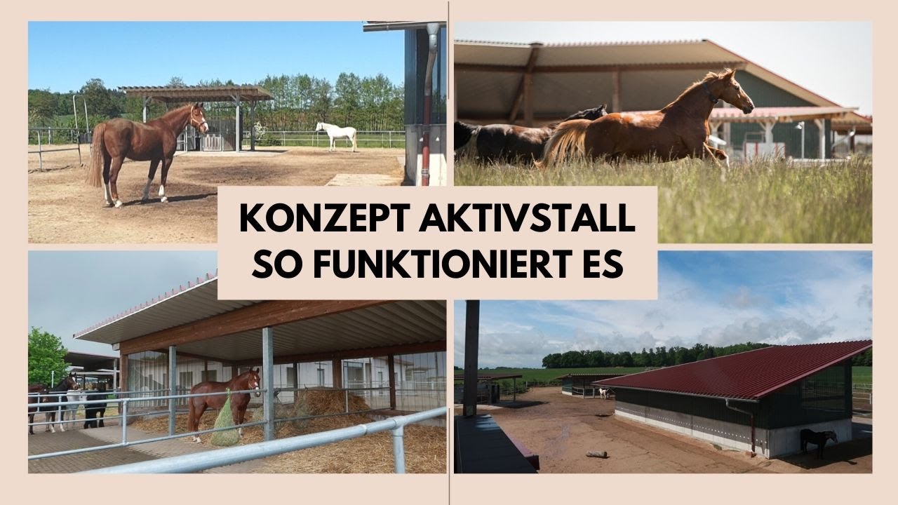 KONZEPT AKTIVSTALL - SO GEHT ES...