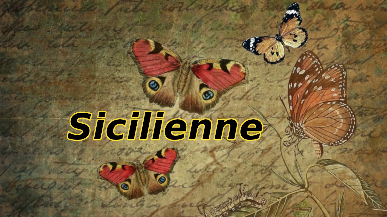 Sicilienne - Maria Theresia von Paradis - Heidrun Hamp - Klavier - Komponistin