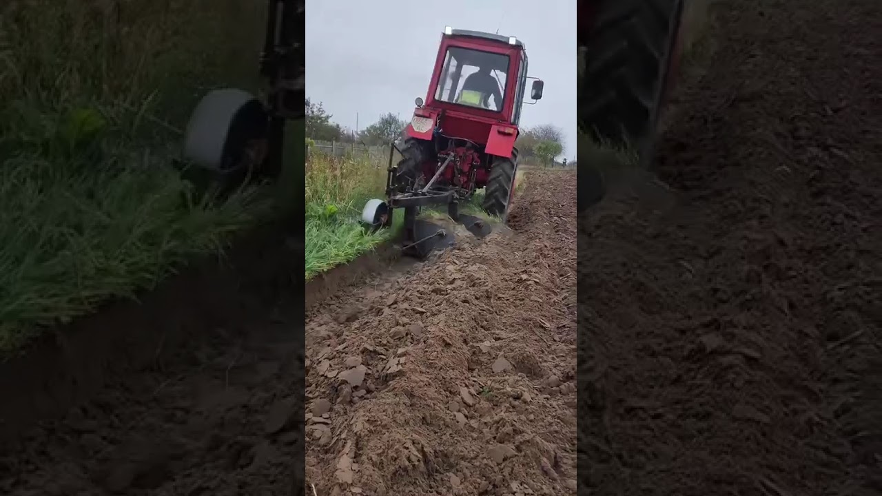 Оранка з Tekrone