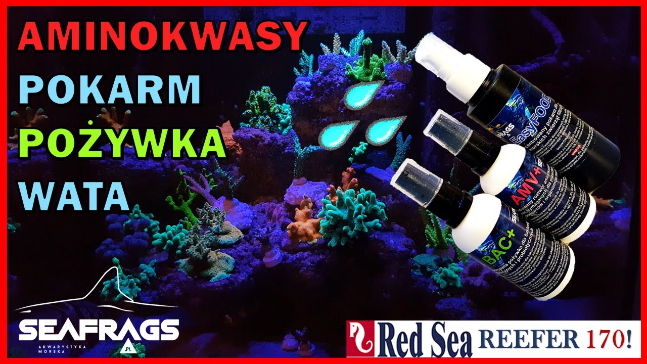 [Morskie] Aminokwasy i Witaminy & Pokarm dla korali & Pożywka dla bakterii & Wata od SEAFRAGS 😱💯💥