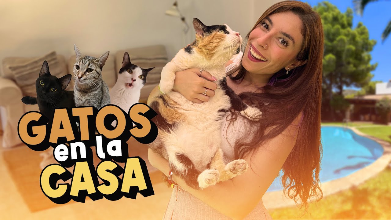 MIS MASCOTAS CONOCEN LA NUEVA CASA