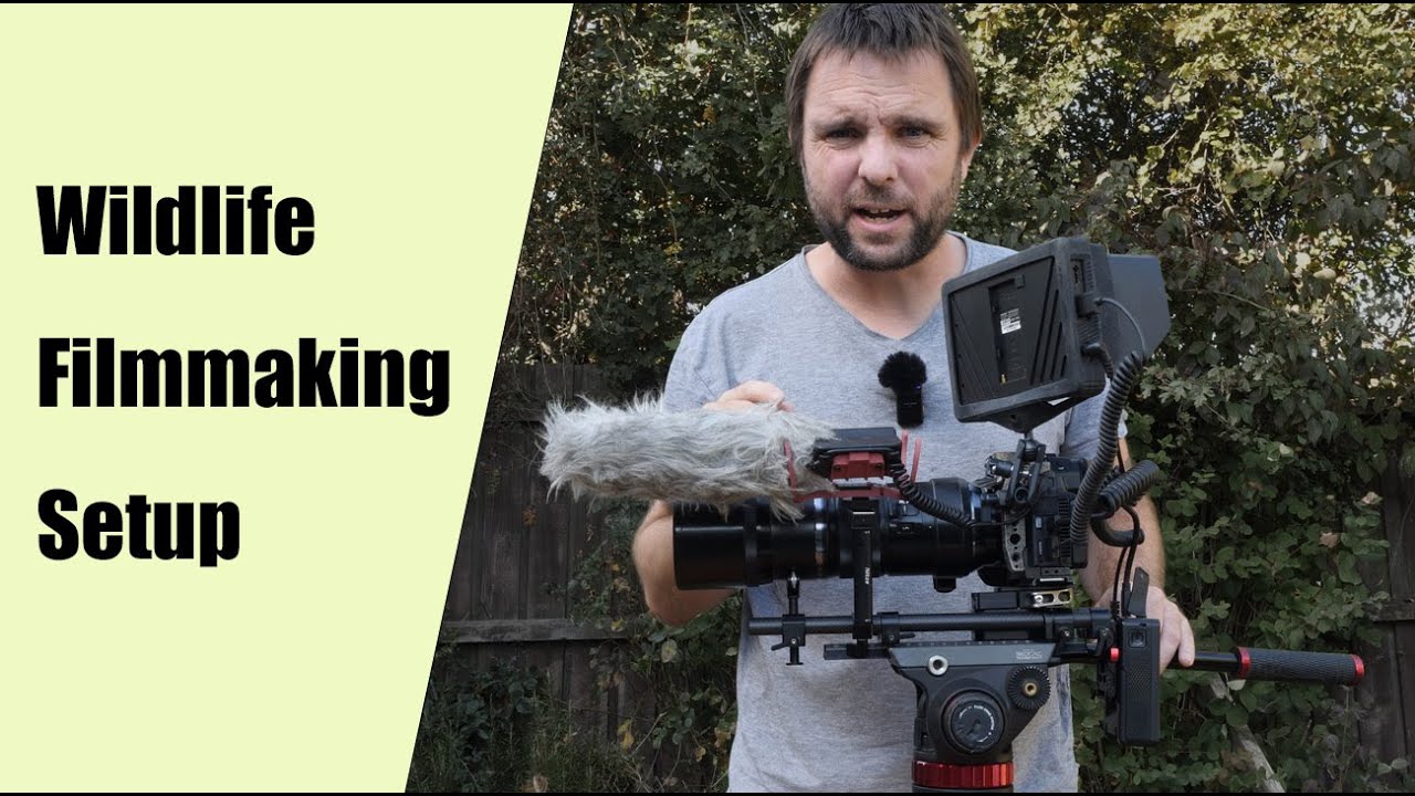 My Wildlife Filmmaking Setup - Camera, lenses and other equipment