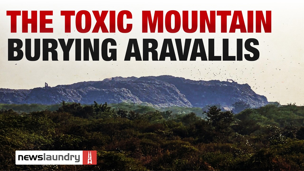 A toxic landfill is growing in the Aravallis. Rs 100 crore fine changed nothing