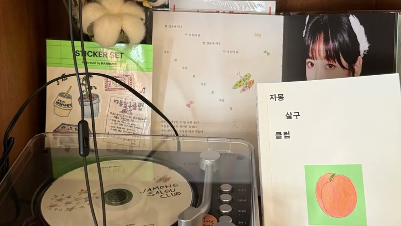 [playlist] 한로로 노래로 재워드립니다 l 조용한 일렉기타 (cover)