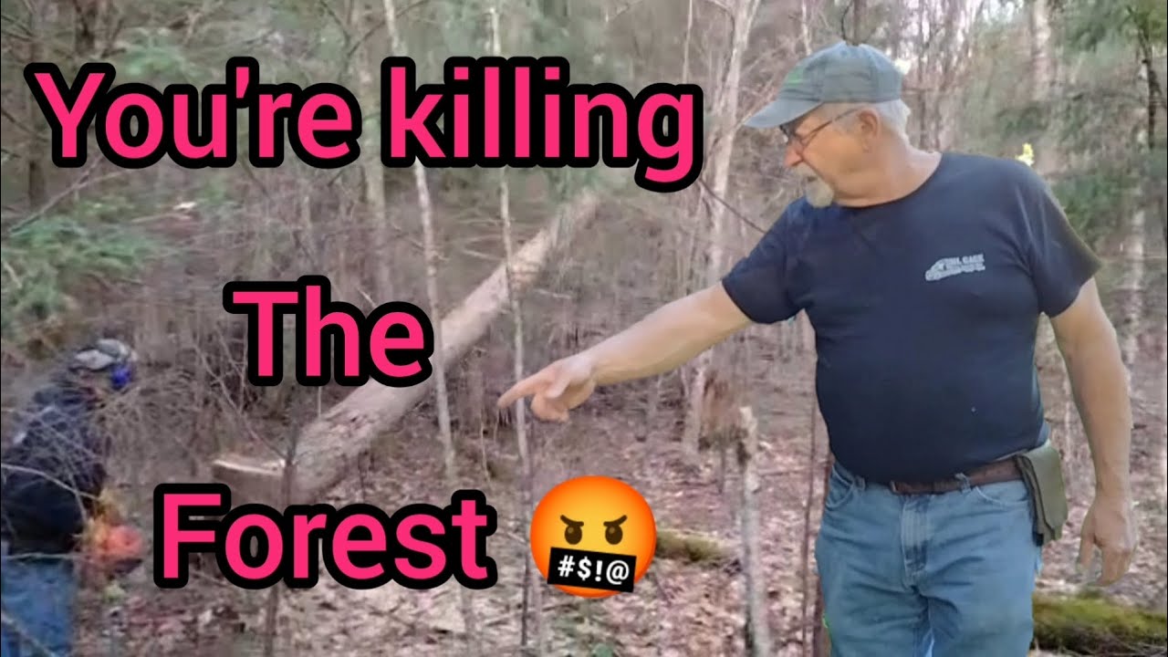 Kill a FOREST to save the planet?#hud-son  #two Brothers Outdoors #hardwood
