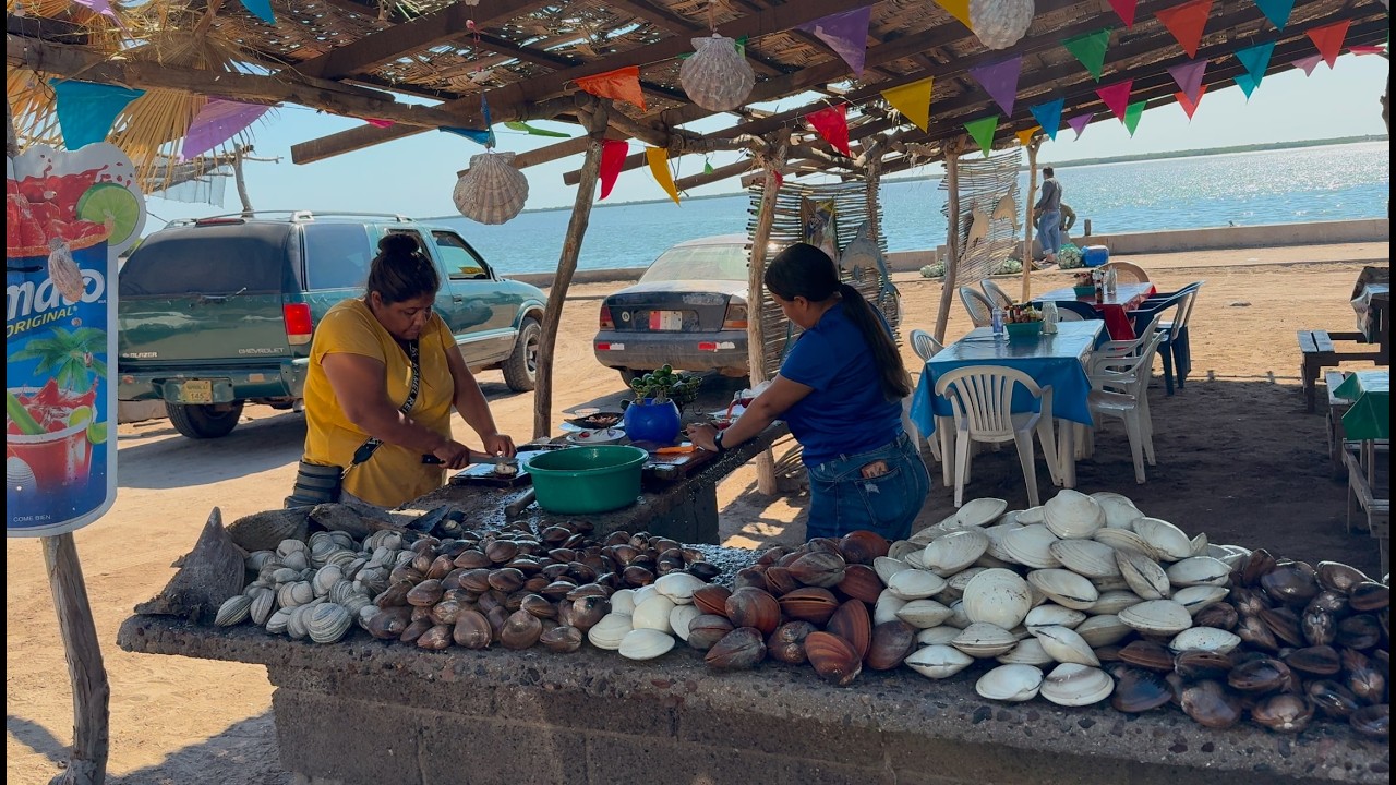 Yavaros tierra del Mariscos fresco y buenos Pescadores