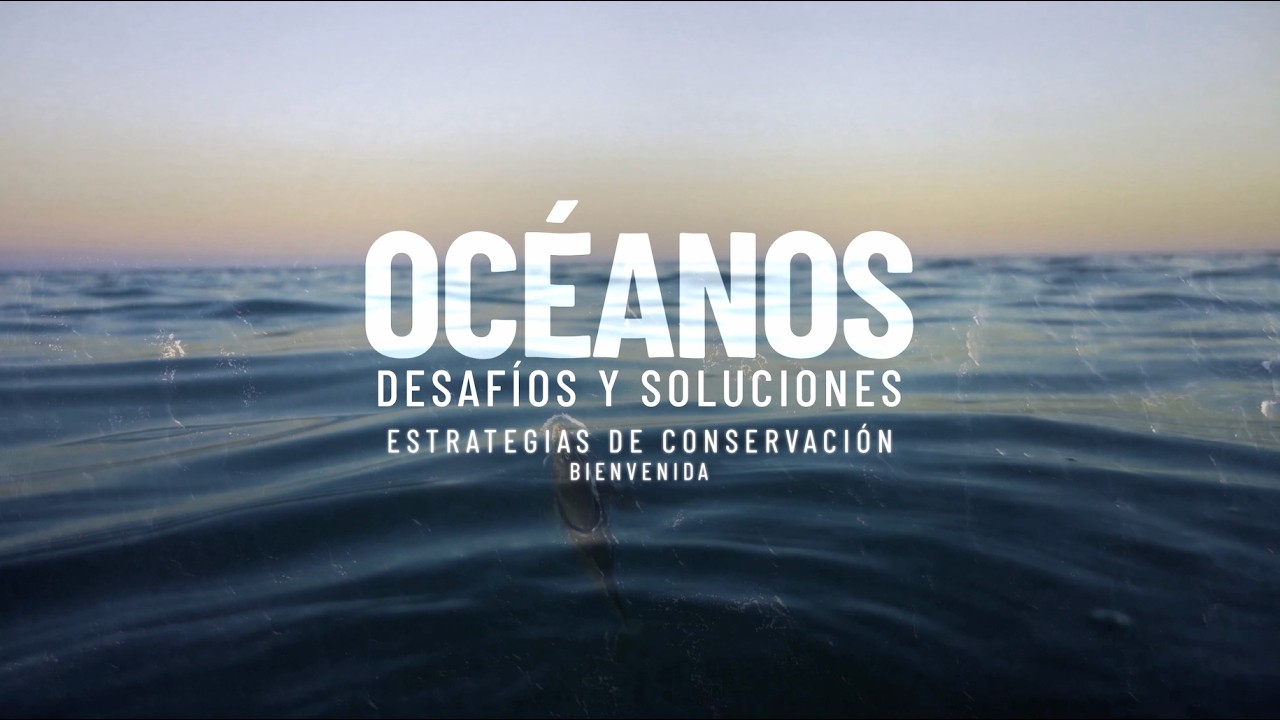 Áreas Marinas Protegidas: Cómo proteger el océano | Max Bello - Curso Océanos: Desafíos y Soluciones