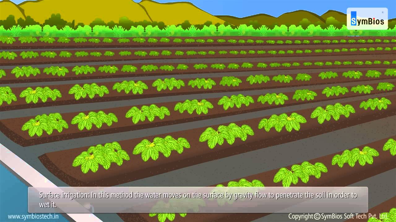 Methods of Crop Production