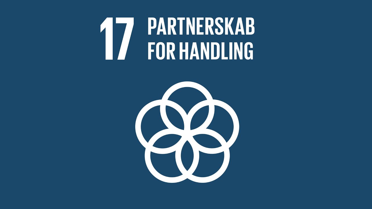 Verdensmål 17: Partnerskaber for handling