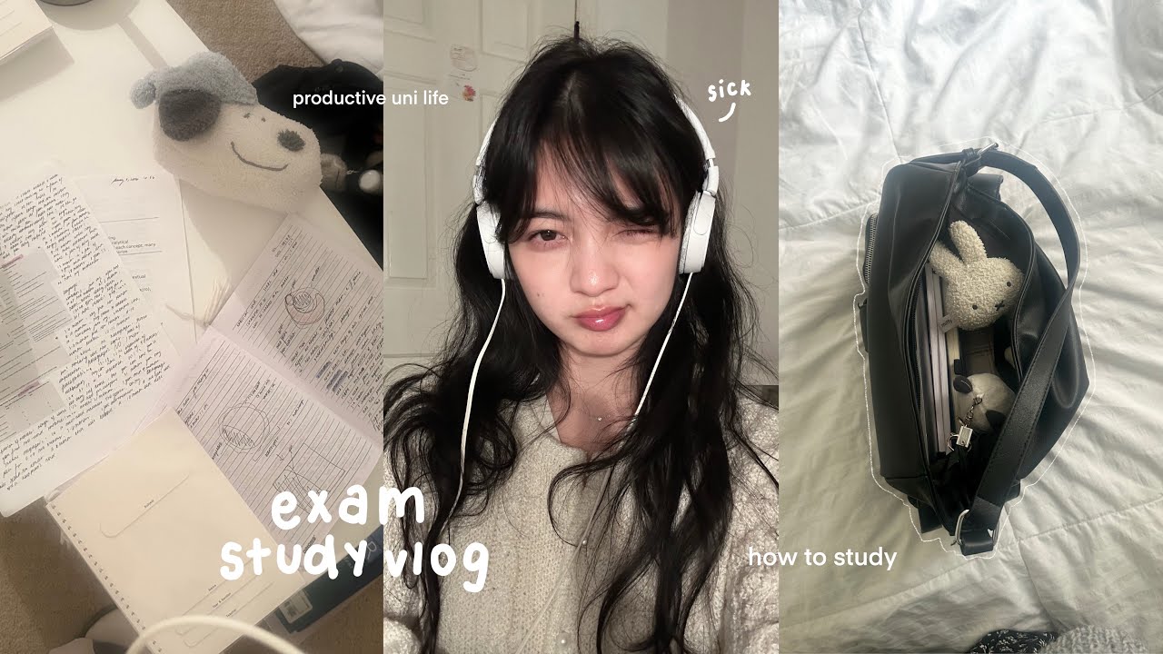 Uni Study Vlog: Studying for exams while sick, How to study & First snow