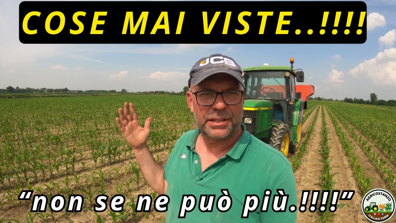 CONCIMAZIONE COPERTURA MAIS 2024 | JOHNDEERE 6210