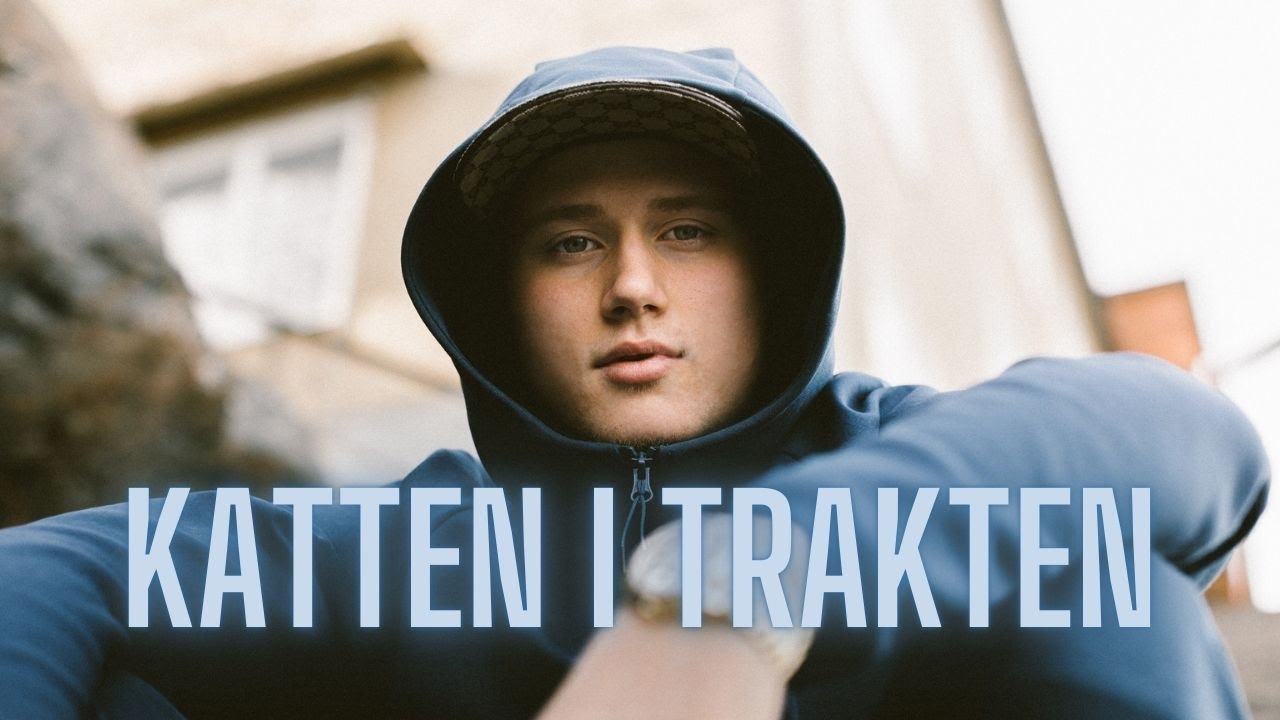Ein&aacute;r - Katten i trakten (AI Cover)