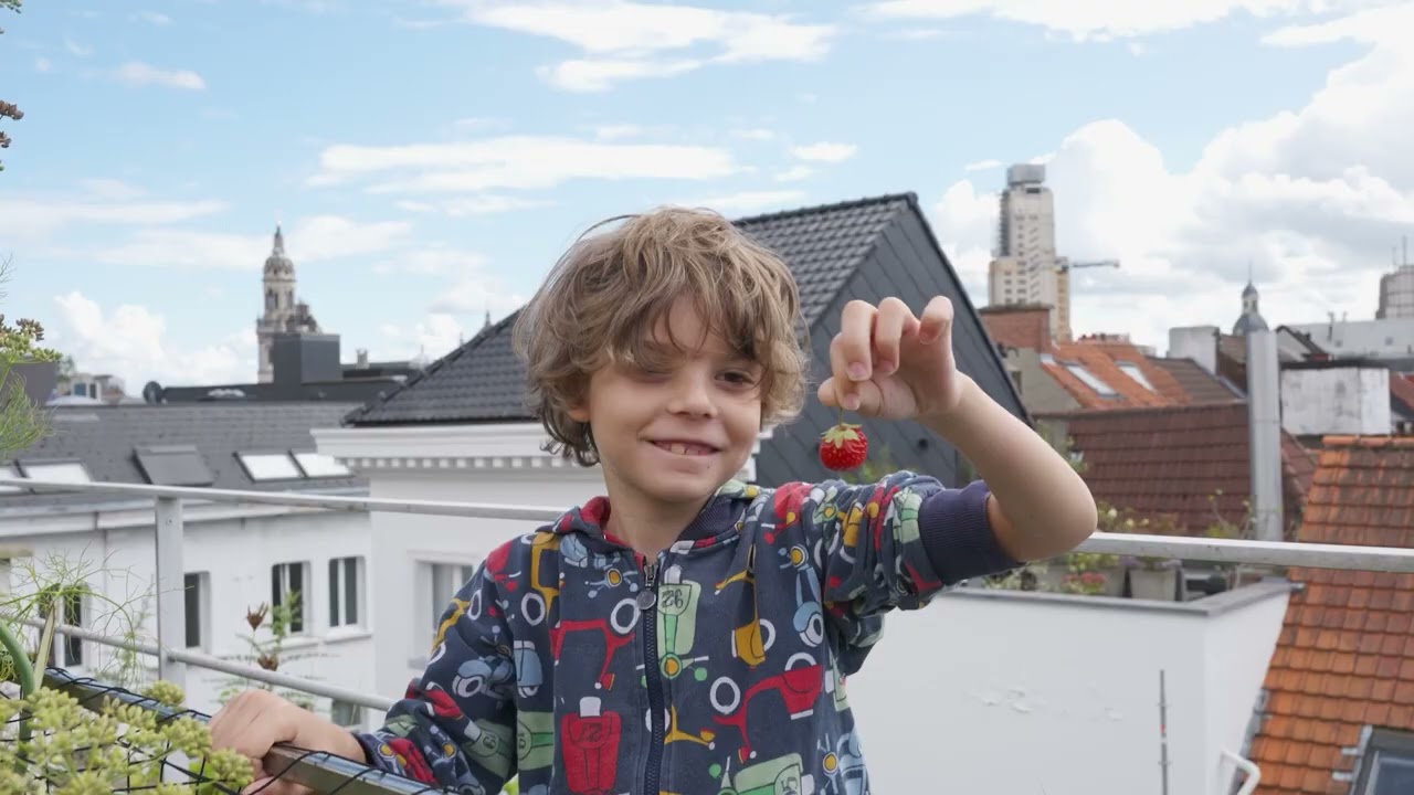 Stap voor stap naar een weelderige daktuin
