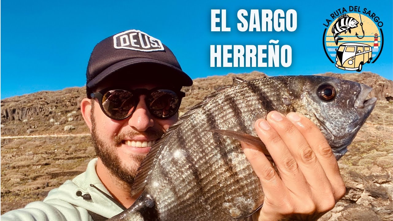 Buscando al SARGO a BOYA en EL HIERRO (Islas Canarias)