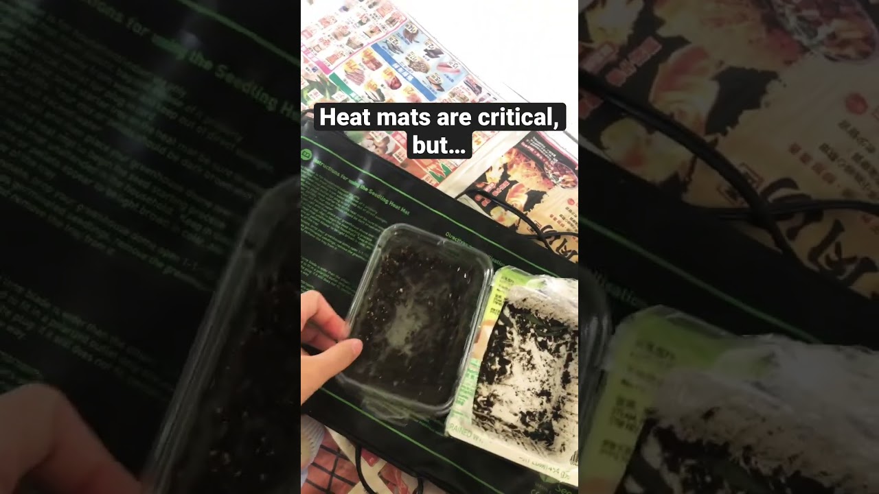 For me, heat mats are critical for germinating seeds, but&hellip; #shorts #gardening
