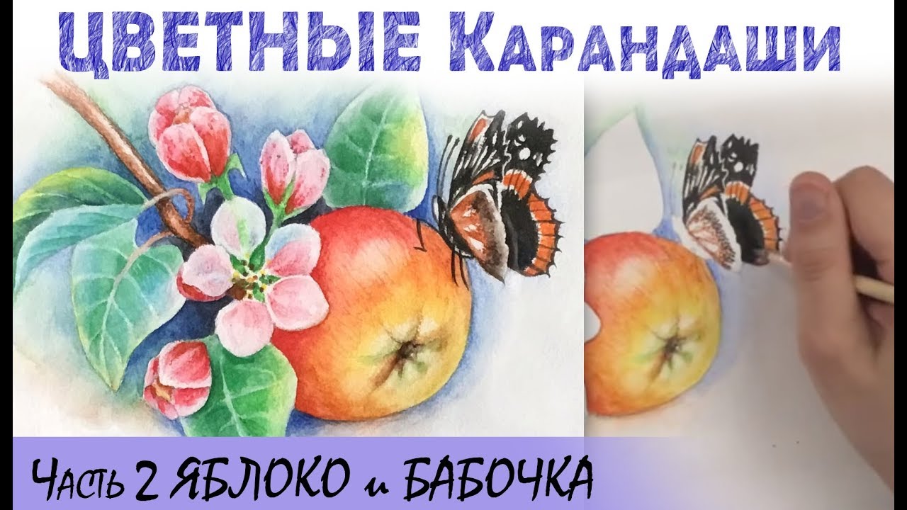 «Яблоко и бабочка - 2» как нарисовать 🎨КАРАНДАШИ | Сезон 1-4 |Мастер-класс для начинающих